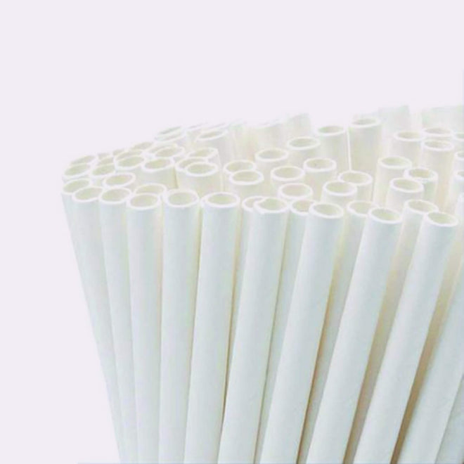 Paper Straws