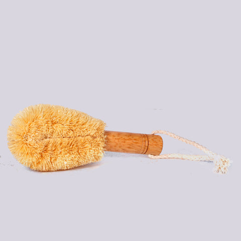 Small Kitchen Brush SCB15